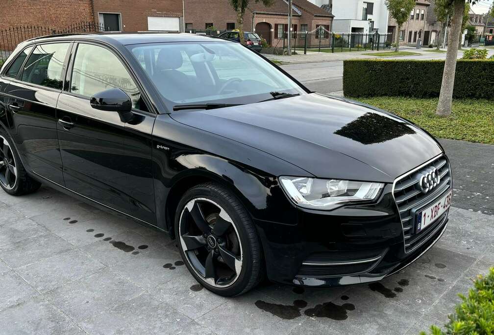 Audi 1.4 TFSI g-tron Sportback: +CNG/Trekhaak/Euro6