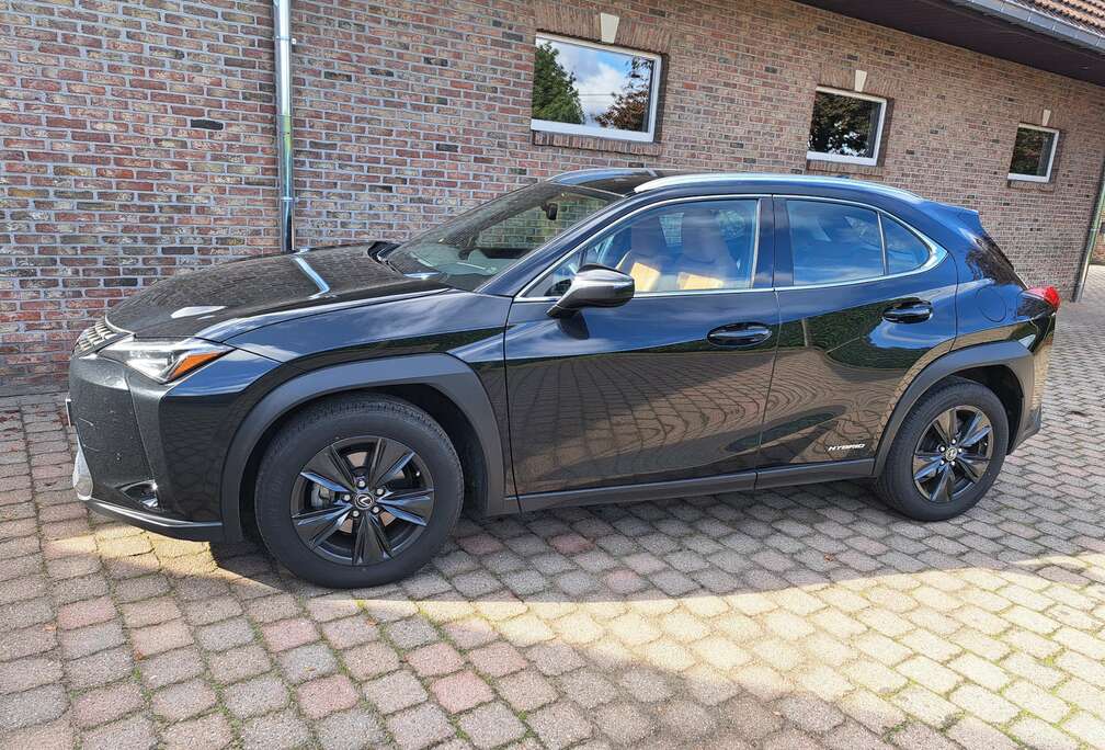 Lexus UX 250h Business Edition