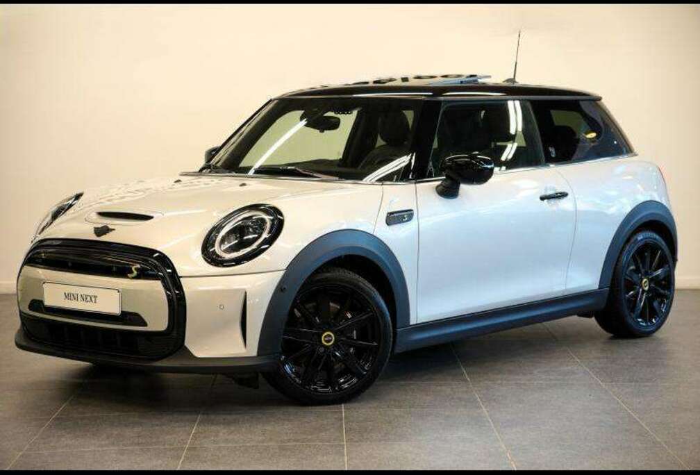 MINI PANORAMADAK CAMERA LEDER ADAP. CRUISE HARMANKARDON