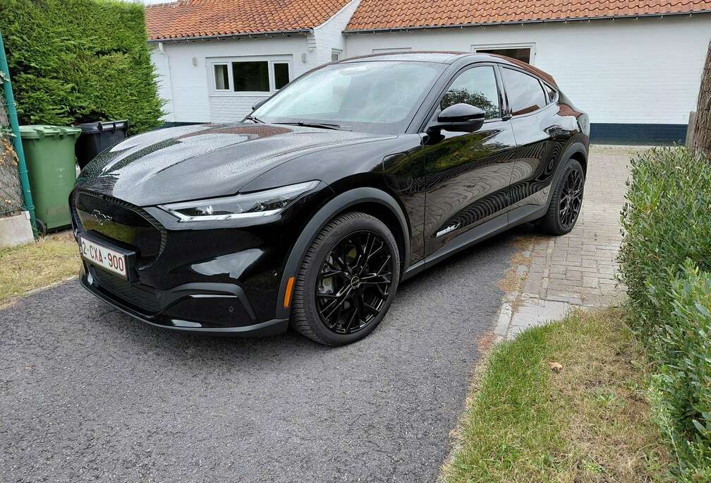 Ford PREMIUM btw voertuig