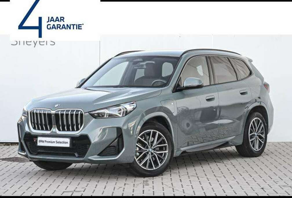 BMW xDrive25e