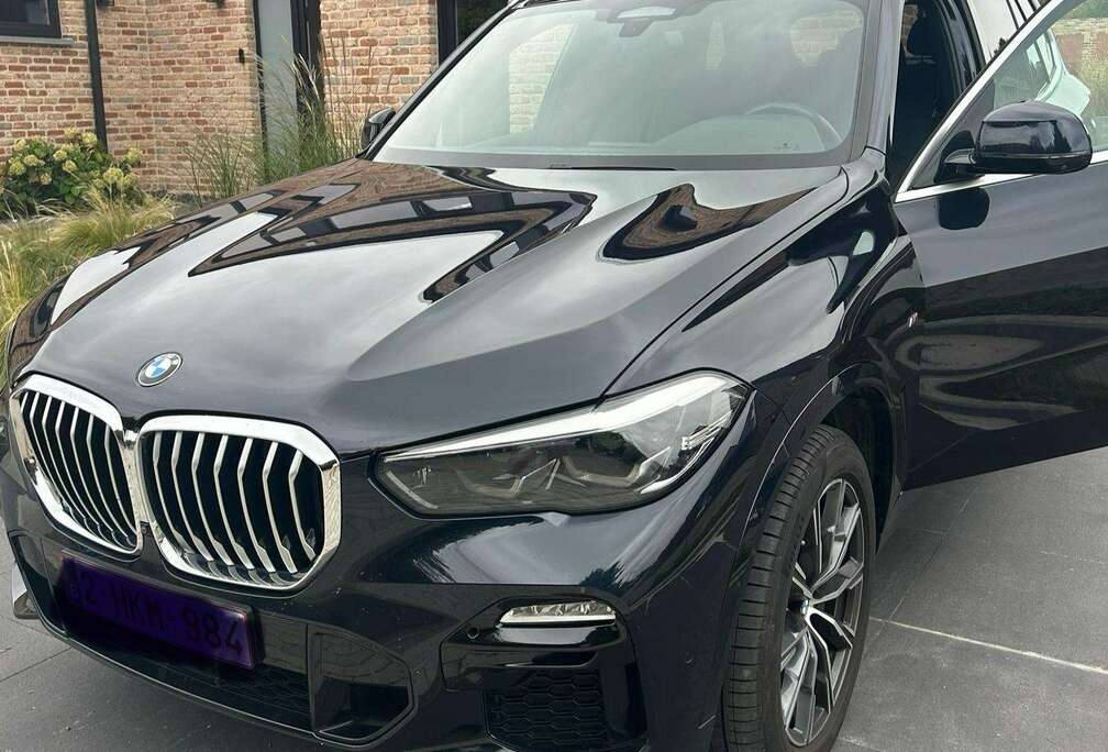 BMW X5 2.0 dA xDrive25 AdBlue (EU6AP)