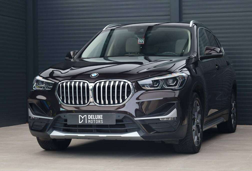 BMW xDrive25e X Line Pano Camera Zetelverwarming Navi