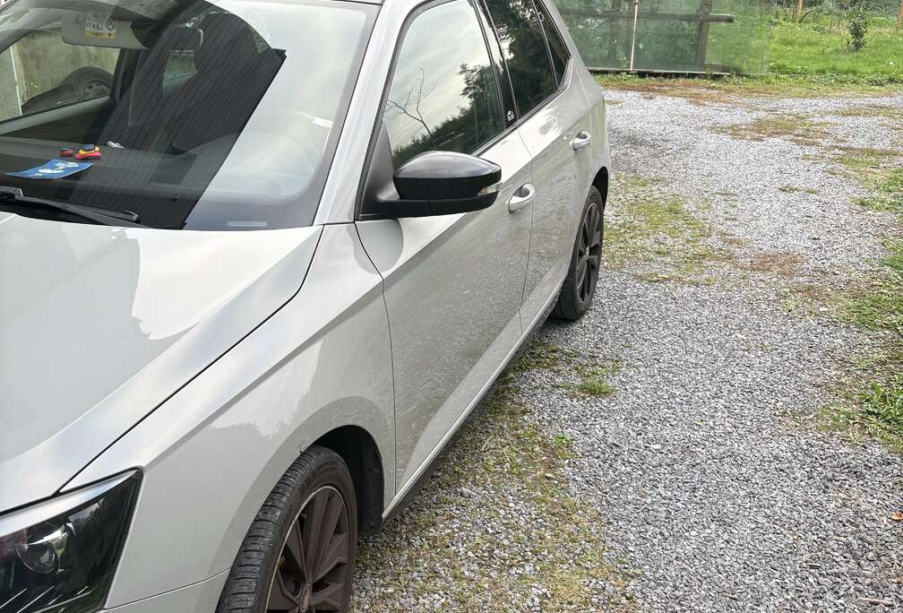 Skoda 1.0i Monte Carlo