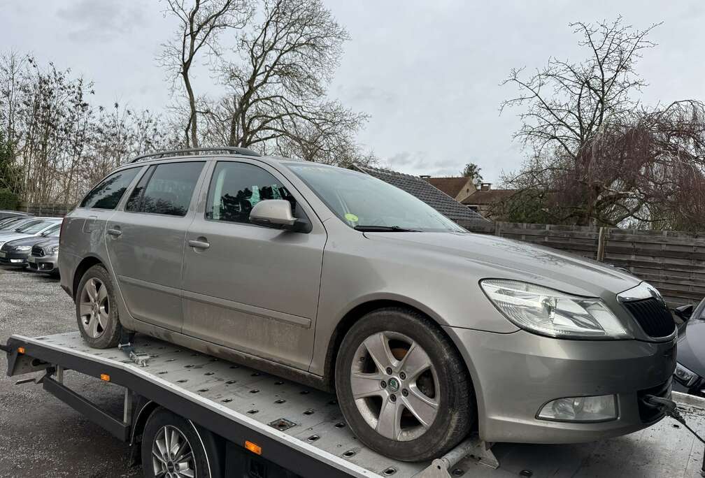 Skoda SW 1.6 CR TDi DPF *Problem injectors*No start*