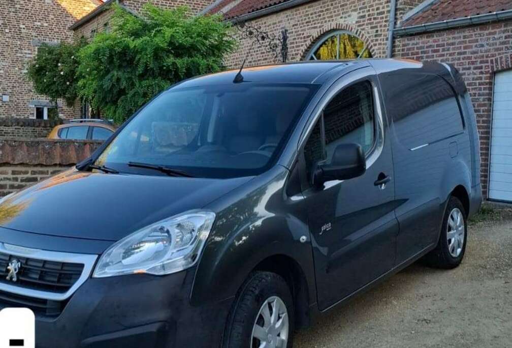 Peugeot 1.6 BlueHDi L2H1 Premium Pack 121 S/S