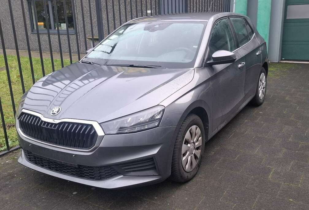 Skoda Fabia 1.0 TSI DSG Ambition