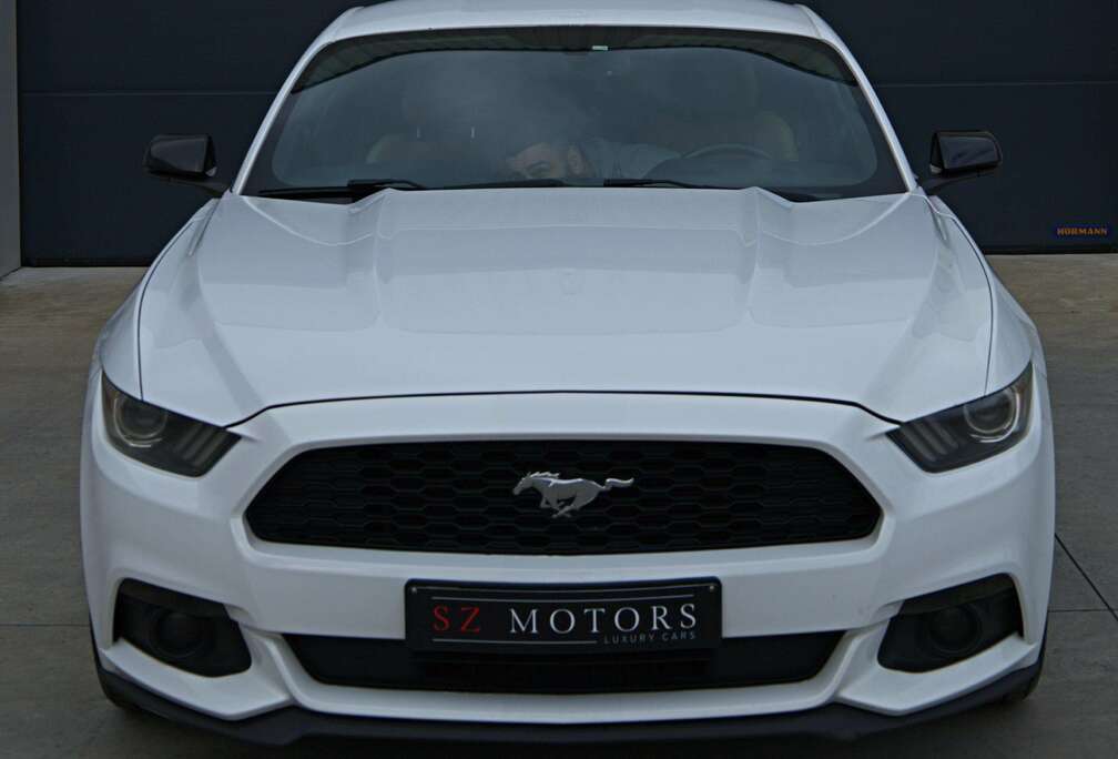 Ford V6  3.7i  Coupé  Automaat  Camera