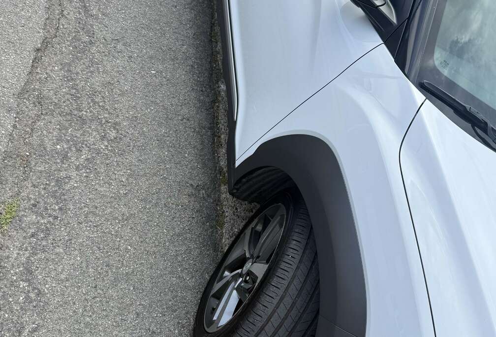 Hyundai Executive
