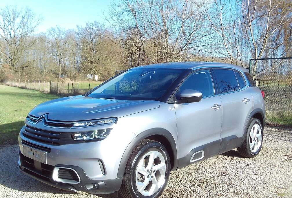 Citroen Benzine 75dkm Shine Pack 18\