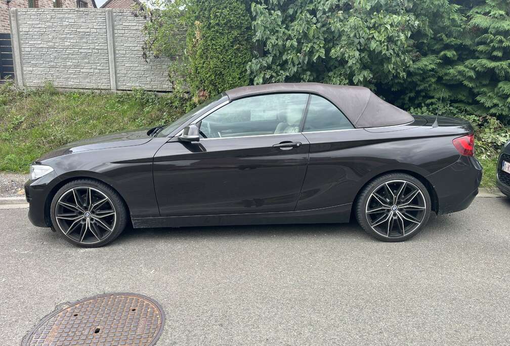 BMW Cabriolet 218i Edition