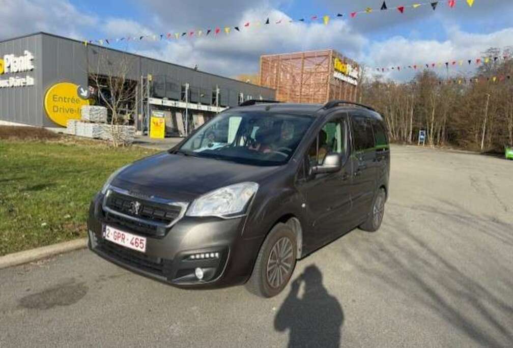 Peugeot Partner Tepee 1.6i Active