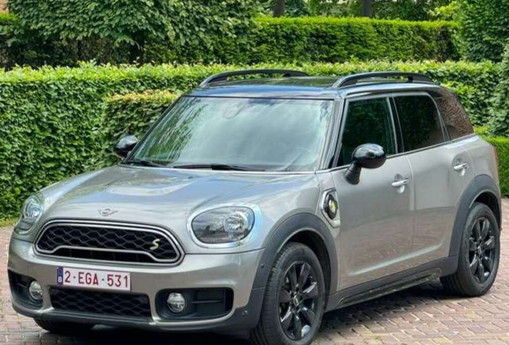 MINI Mini Cooper Countryman All4 Aut. Park Lane