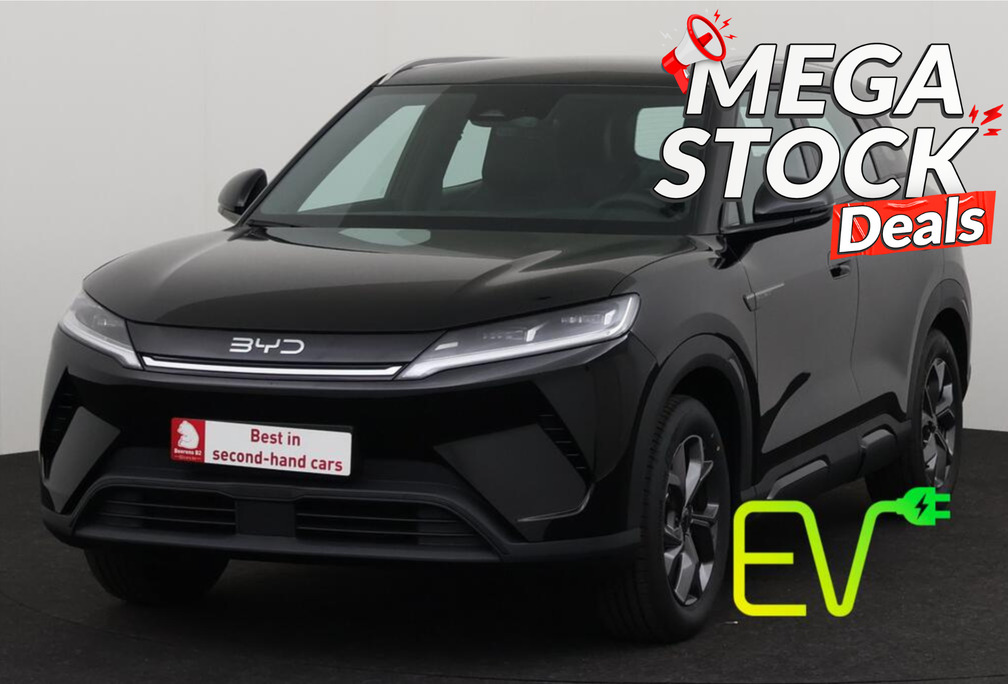 BYD ACTIVE 45 kWh + A/T + CARPLAY + LEDER + CAMERA + C