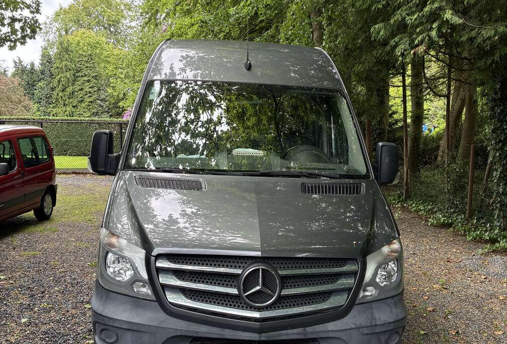 Mercedes-Benz 319 3.0 BlueTEC BE V6 7G-tron.(EU6)