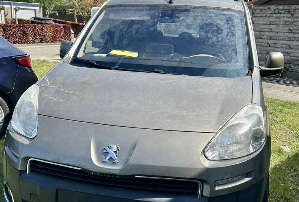 Peugeot 1.6 HDi