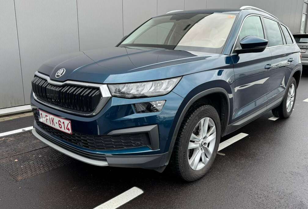 Skoda 2.0 TDI DSG Clever