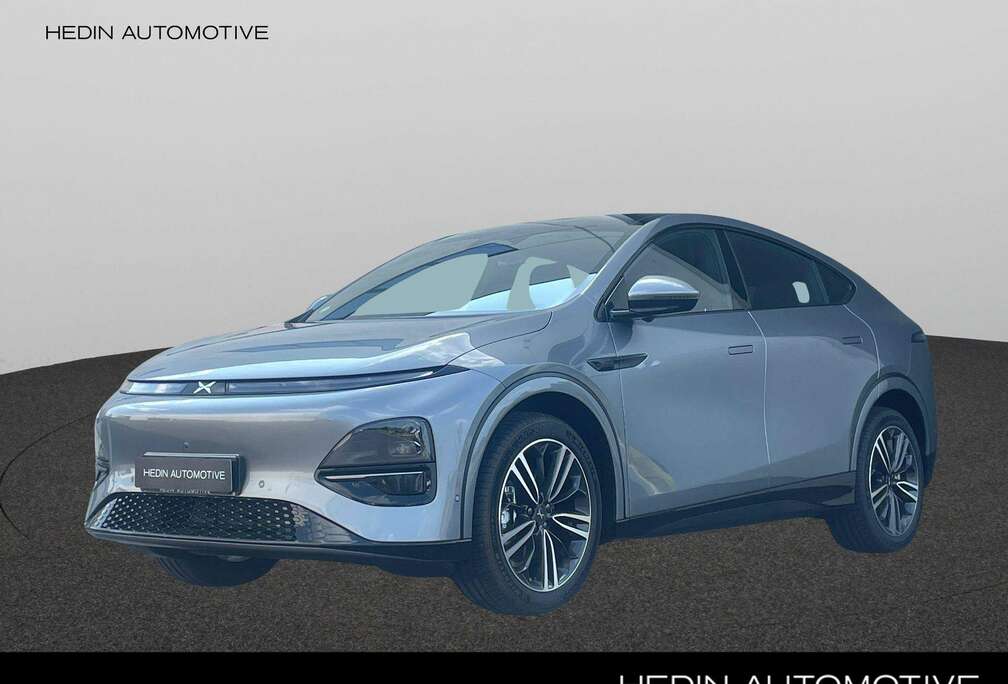 Standard Range RWD 66KWH  Panoramisch Dak  Digit