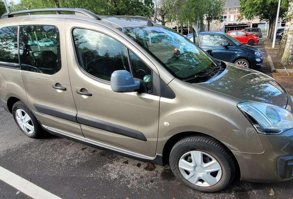 Citroen Multispace BlueHDi 100 S&S BVM5 Shine