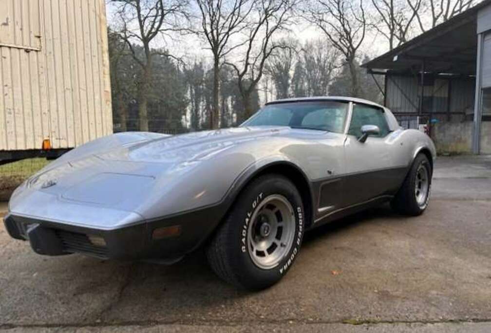 Corvette silver anniversary