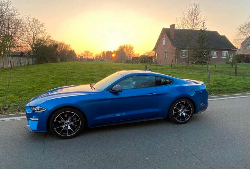 Ford Mustang 2.3 EcoBoost (EU6.2)