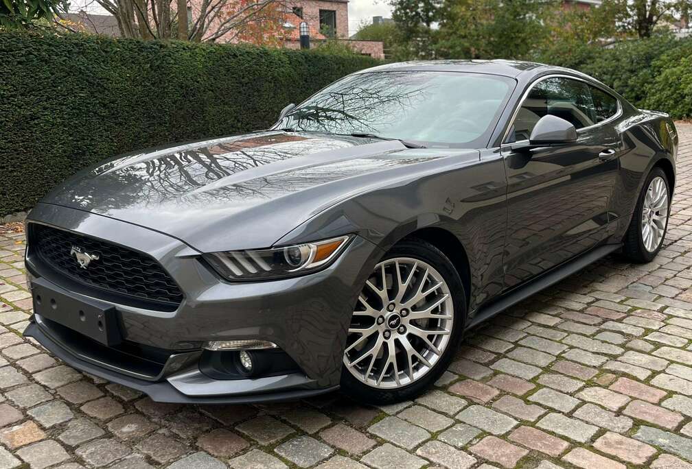 Ford 2.3 EcoBoost Automaat  ### 57000 km ###