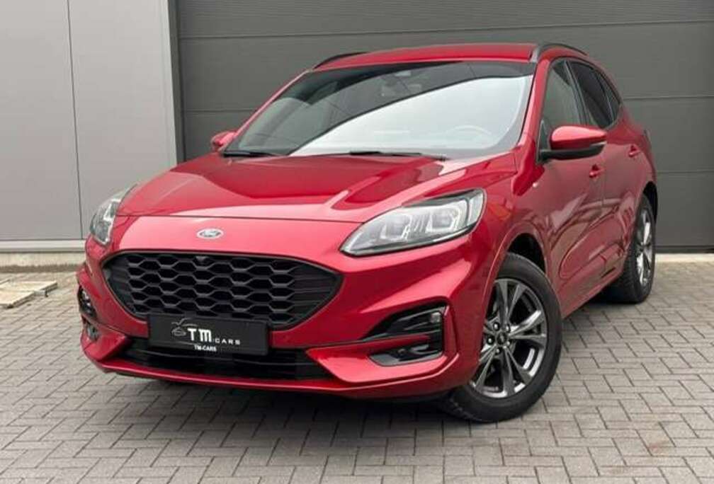 Ford zetel- stuurverwarming/LED/camera