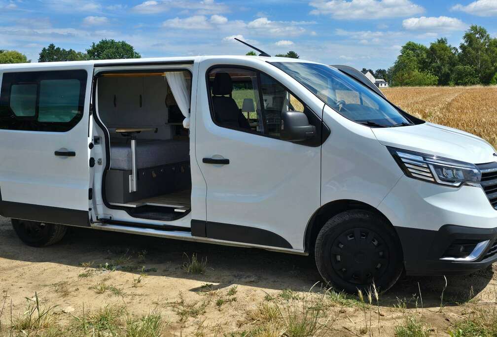 Renault Trafic 2.0 dCi 29 L2H1 Confort (EU6d)