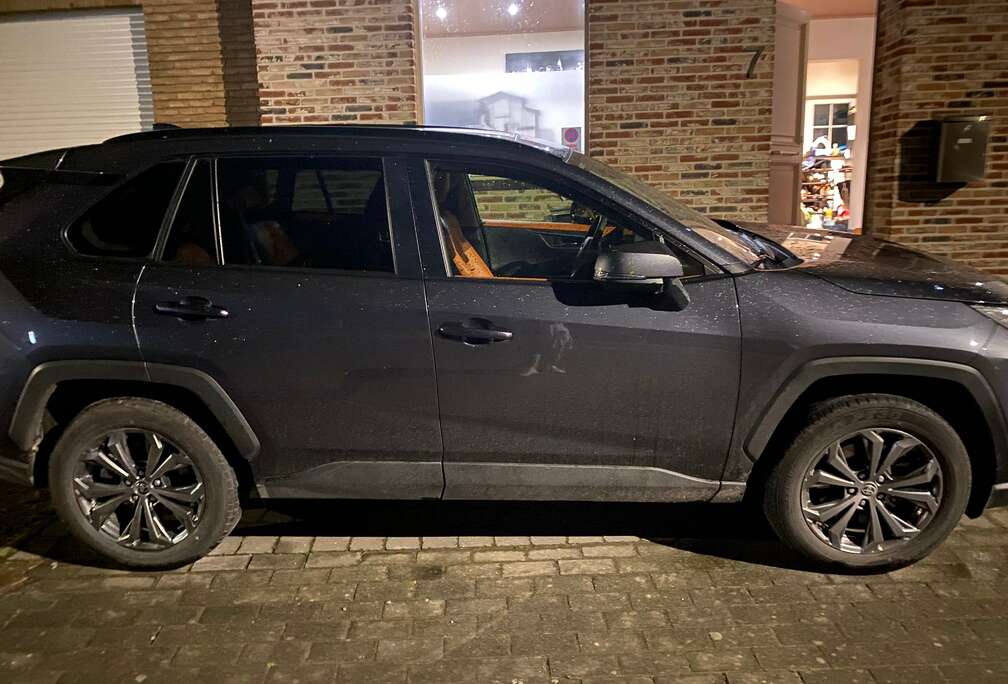 Toyota RAV 4 2.5 4x2 Hybrid