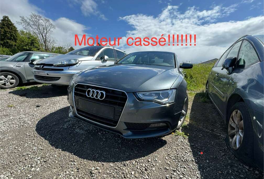 Audi 1.8 TFSI S line +lpg