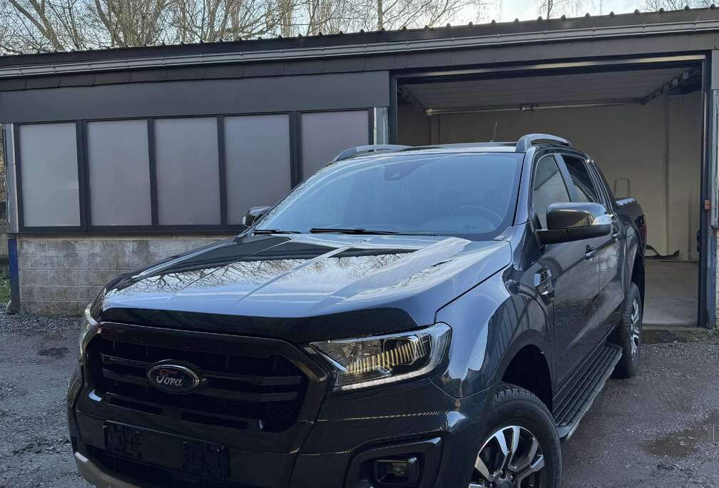 Ford 2.0 BiT EcoBlue Wildtrak (EU6.2)