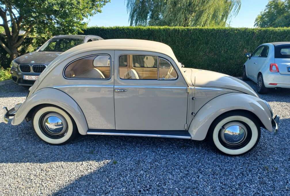 Volkswagen VW COX OVALE RESTAUREE