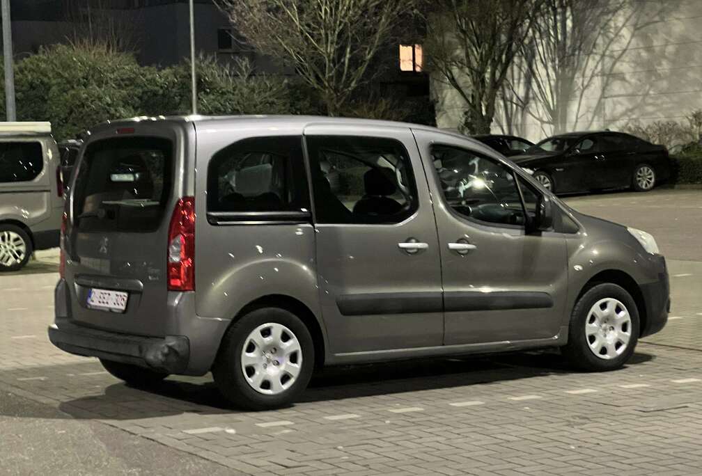 Peugeot Tepee 100 Family