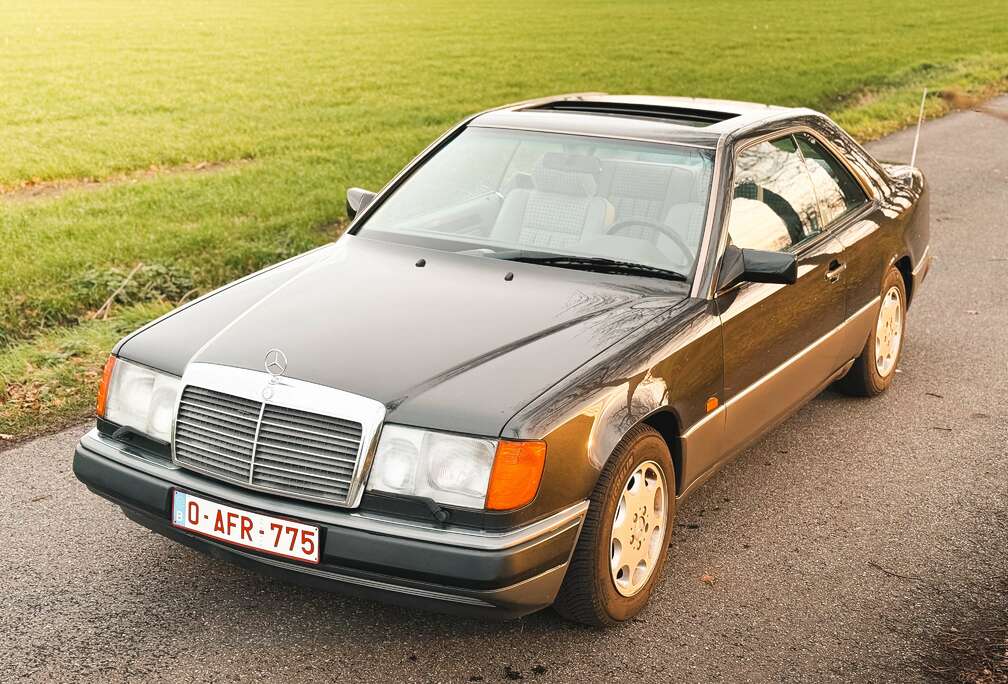 Mercedes-Benz 24v