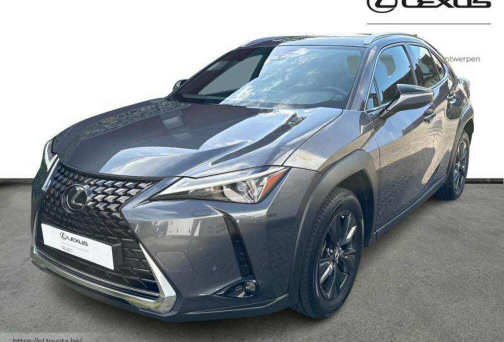 Lexus Business Line