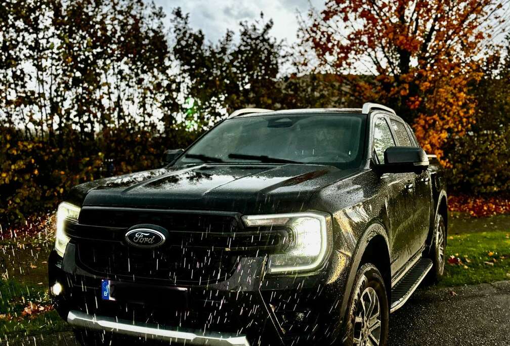 Ford 2.0 EcoBlue e-4WD Wildtrak