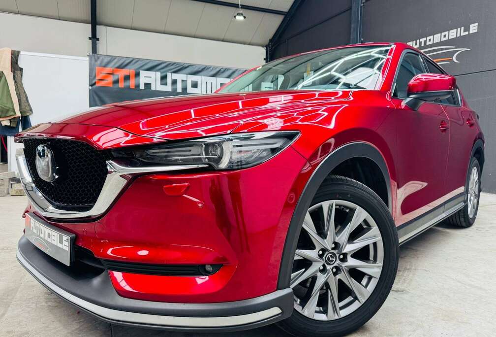 Mazda 2.2 SKY-D 4WD Skycruise Takumi (EU6d-T)