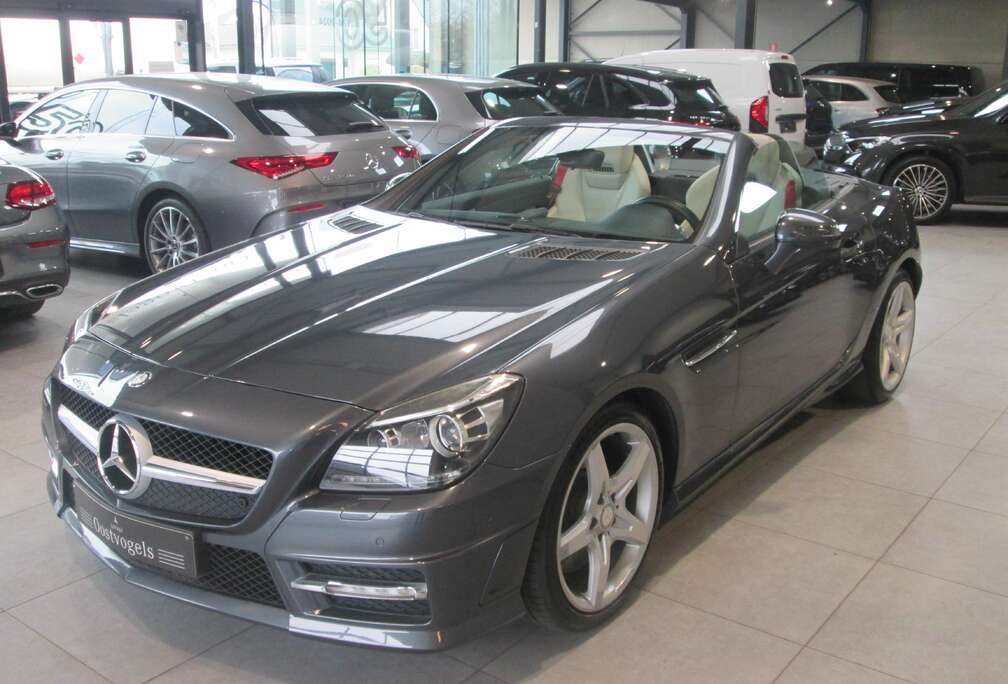 Mercedes-Benz AMG LEDER