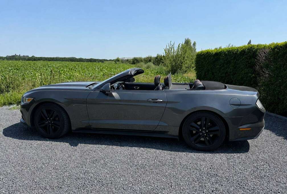 Ford Mustang Convertible 2.3 EcoBoost