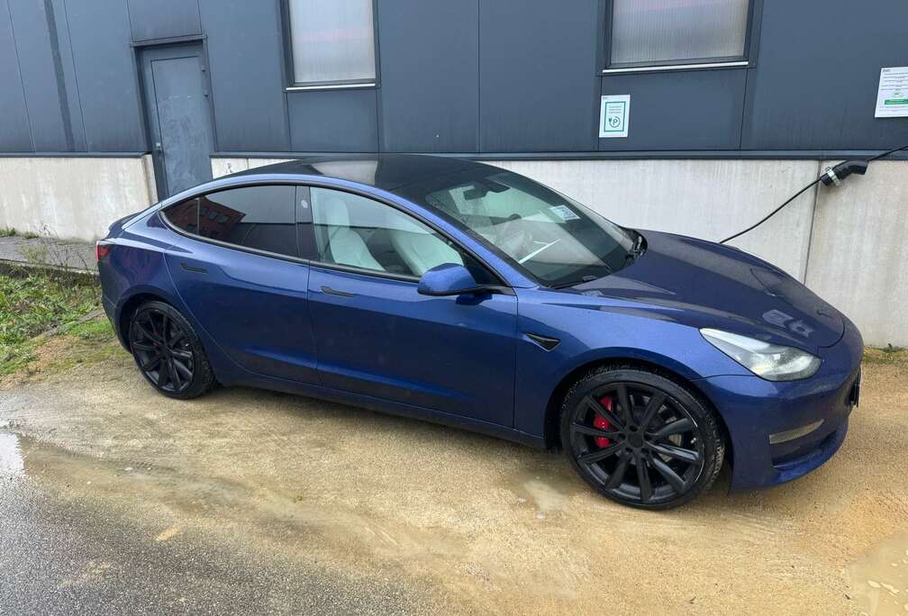 Tesla Performance  513 pk