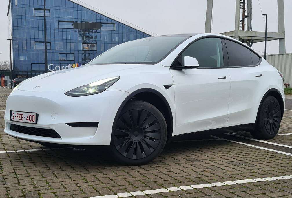 Tesla Model+Y+RWD