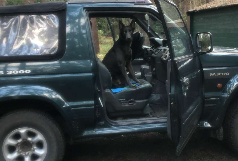 Mitsubishi 3000 V6 GLX