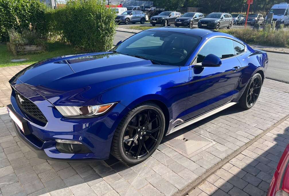 Ford Mustang 2.3 EcoBoost - Etat Showroom