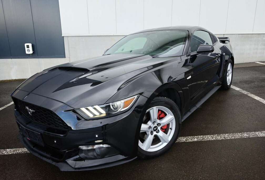 Ford Fastback 2.3 EcoBoost