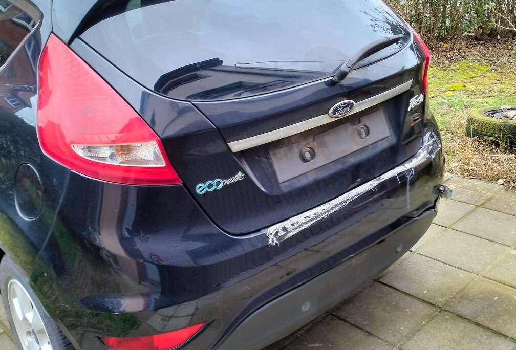 Ford Fiesta 1.6 TDCi Econetic DPF (EU5)