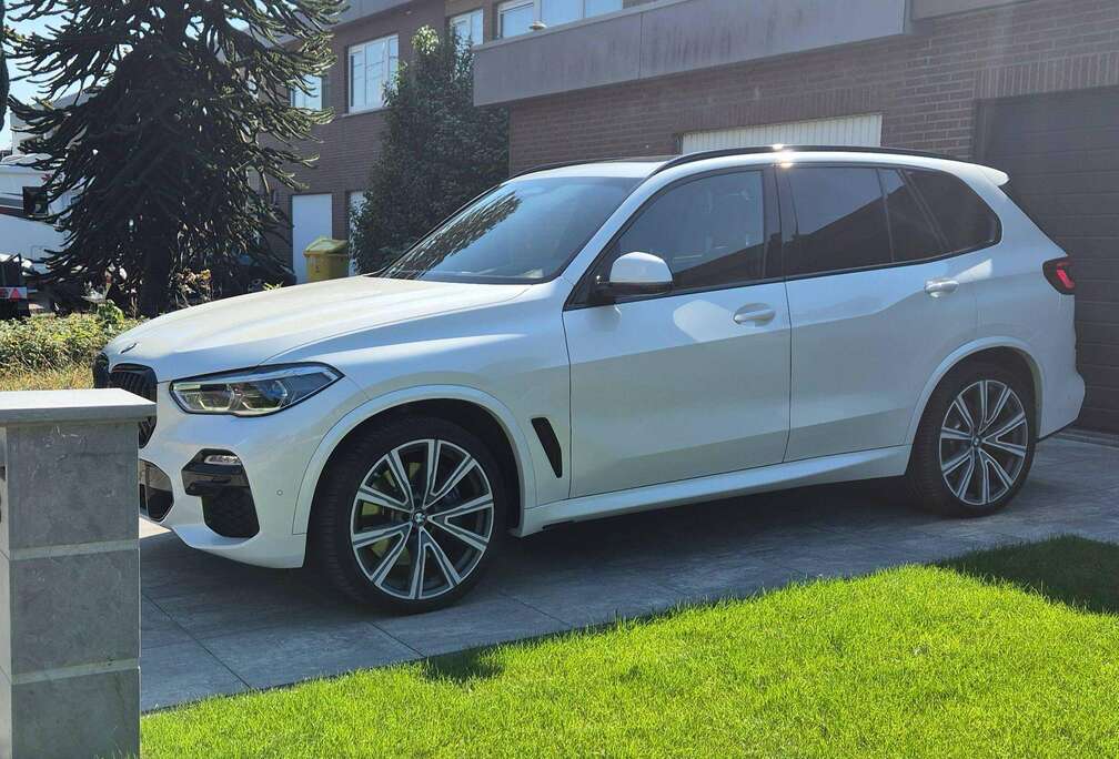 BMW X5 3.0 7plaats xDrive30 AdBlue