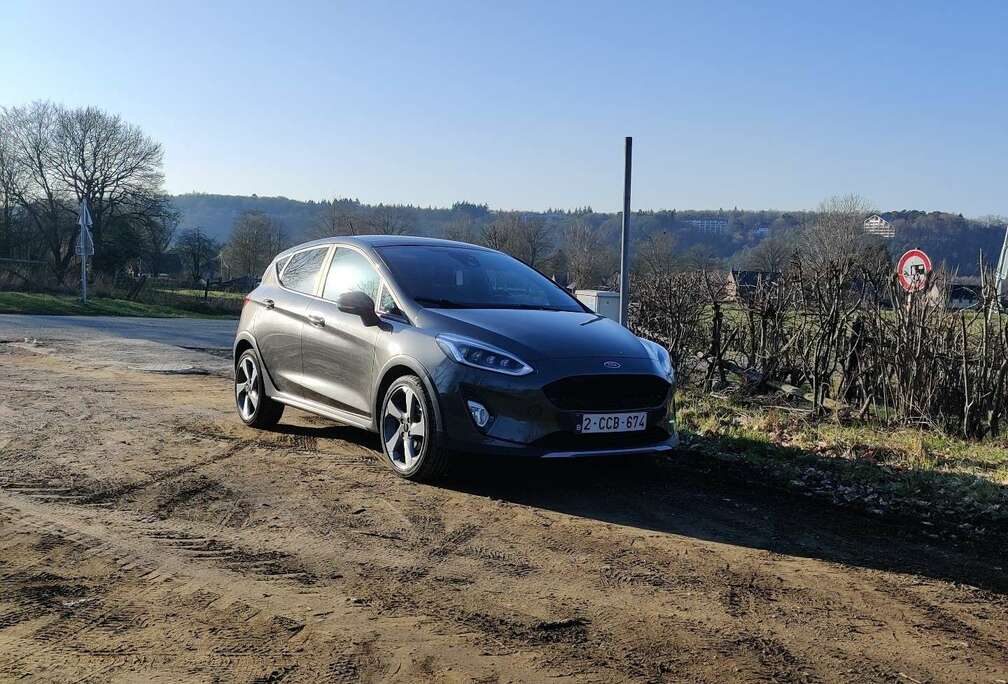 Ford Active 1.0 EcoBoost 3 (EU6.2)