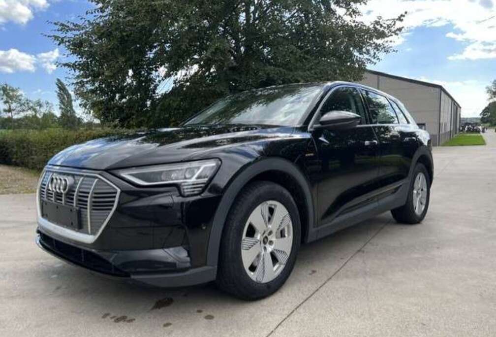 Audi E-Tron 95 kWh 55 Quattro Advanced *Navi*Cam*Leder*Lane*Keyless* BTW incl