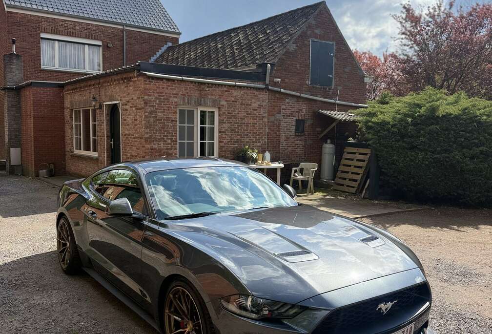 Ford 2.3 EcoBoost  STAGE 2  Performance Build