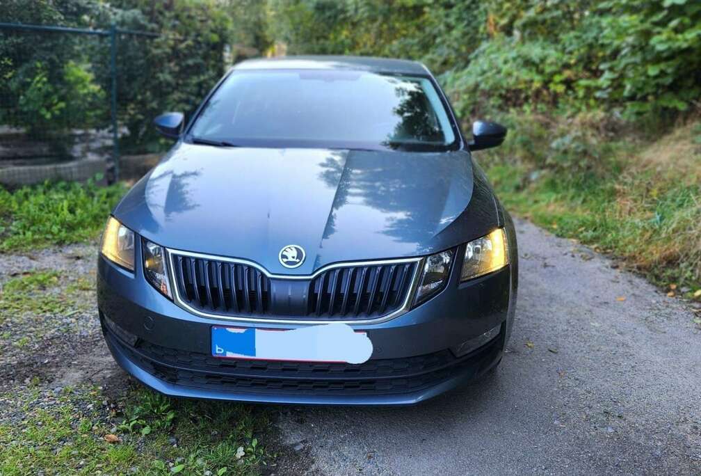 Skoda SW 1.6 CR TDi Ambition (EU6.2)